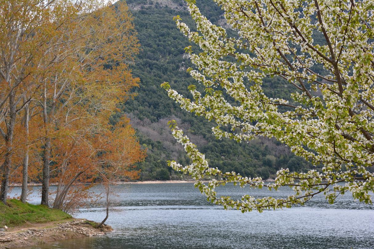 Paesaggi Corsica - Domaine de Bagheera