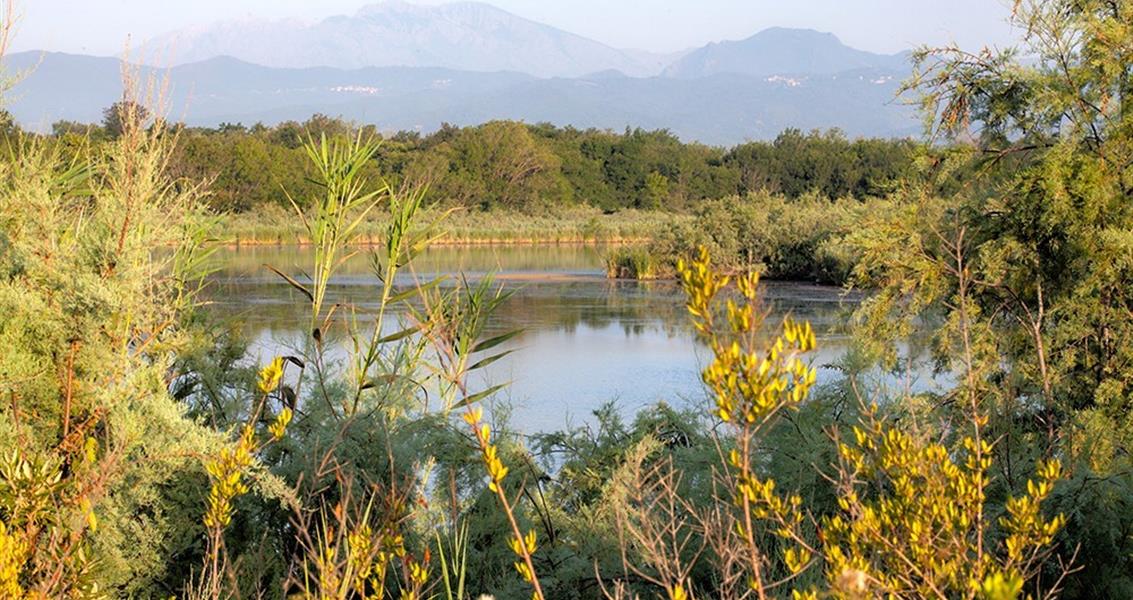 Lo Stagno U Stagnolu del campeggio naturista 4 stelle Bravone