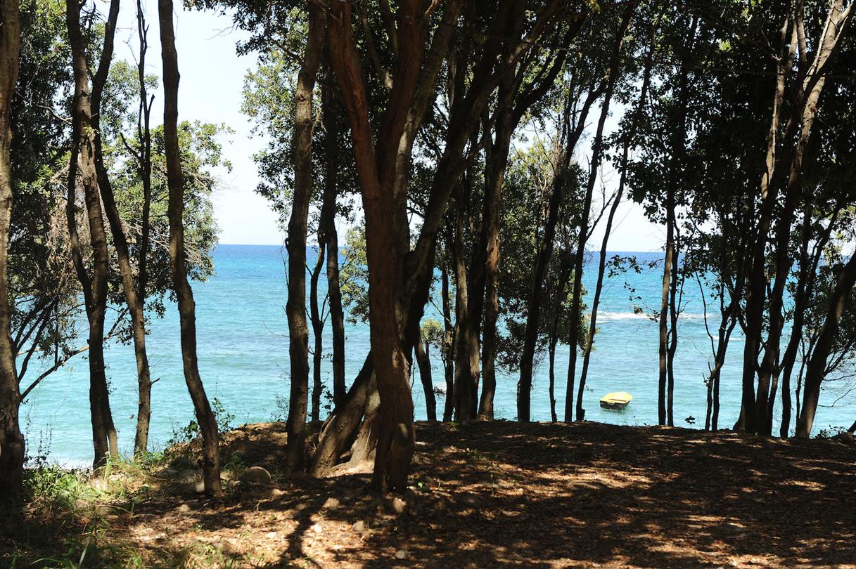 Posti in riva al mare campeggio naturista 4 stelle Corsica, Bravone