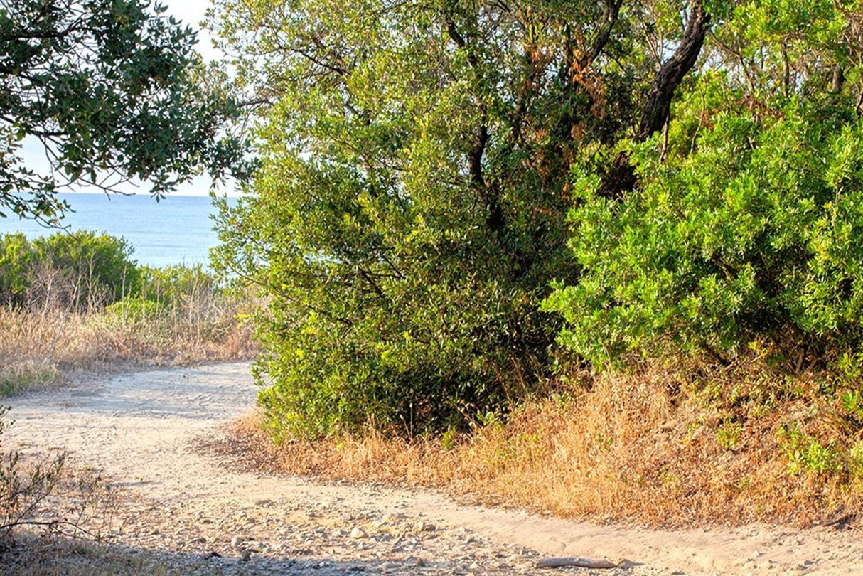 Resort naturista Bagheera