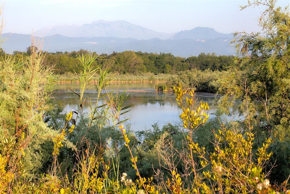 Resort naturista Bagheera