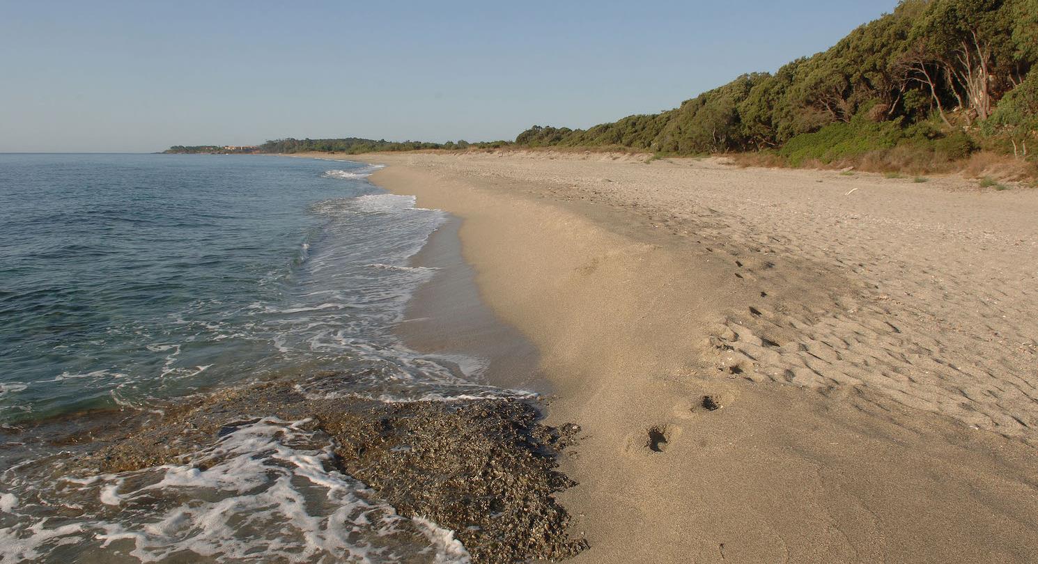Spiaggia naturista Corsica - Campeggio Bagheera 4 stelle - Campeggio naturista Corsica 
