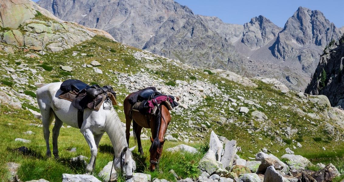 Escursioni equestri in Corsica - Vacanze naturiste Domaine de Bagheera