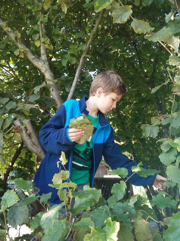 Miniclub per bambini, Bagheera, campeggio naturista 4 stelle in Corsica  