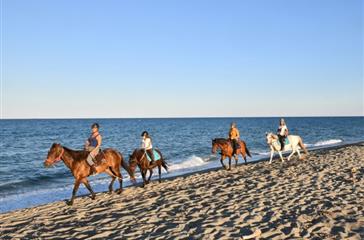  Passeggiate a cavallo sulla lunga spiaggia di sabbia