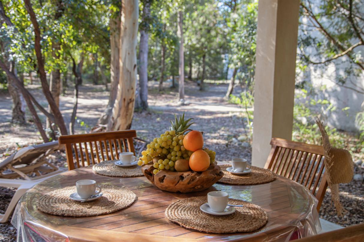 Promozione locazione vacanze naturista lungomare  in Corsica
